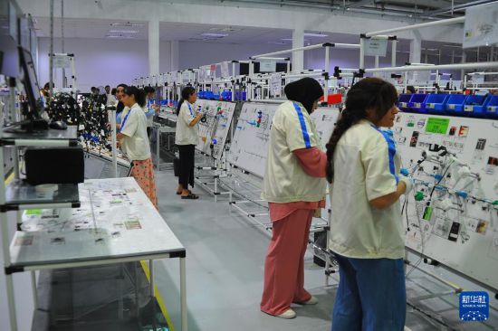 　　9月8日，突尼斯工人在突尼斯本阿鲁斯省一家中国企业投资的汽车零配件厂进行生产。新华社发（阿代尔摄）