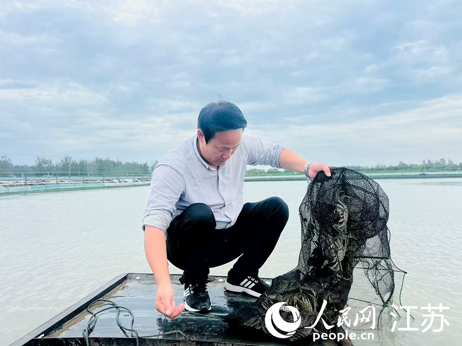 段广玉正在拉网起蟹。人民网 李欣阳摄