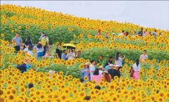 [field:title/]