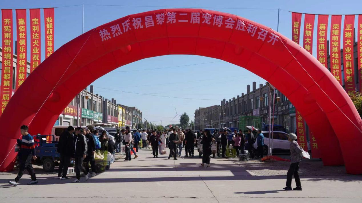 河北·昌黎第二届国际宠物交易大会暨宠物产业产品文化博览会活动现场。 赵英杰摄